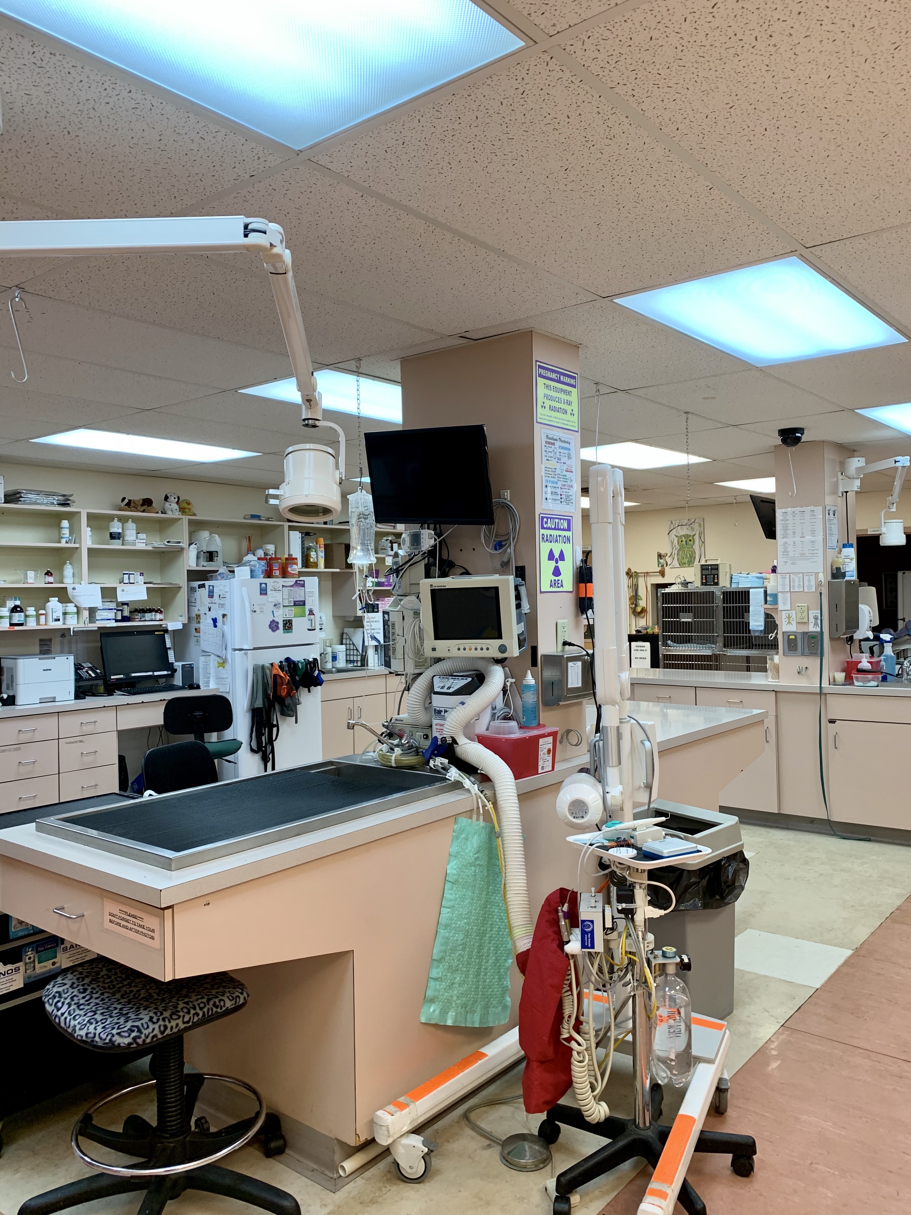 Surgery Area 2 at Camboro Veterinary Hospital
