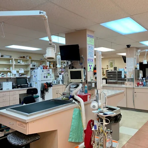 Surgery Area 2 at Camboro Veterinary Hospital Surgery Area 2 at Camboro Veterinary Hospital