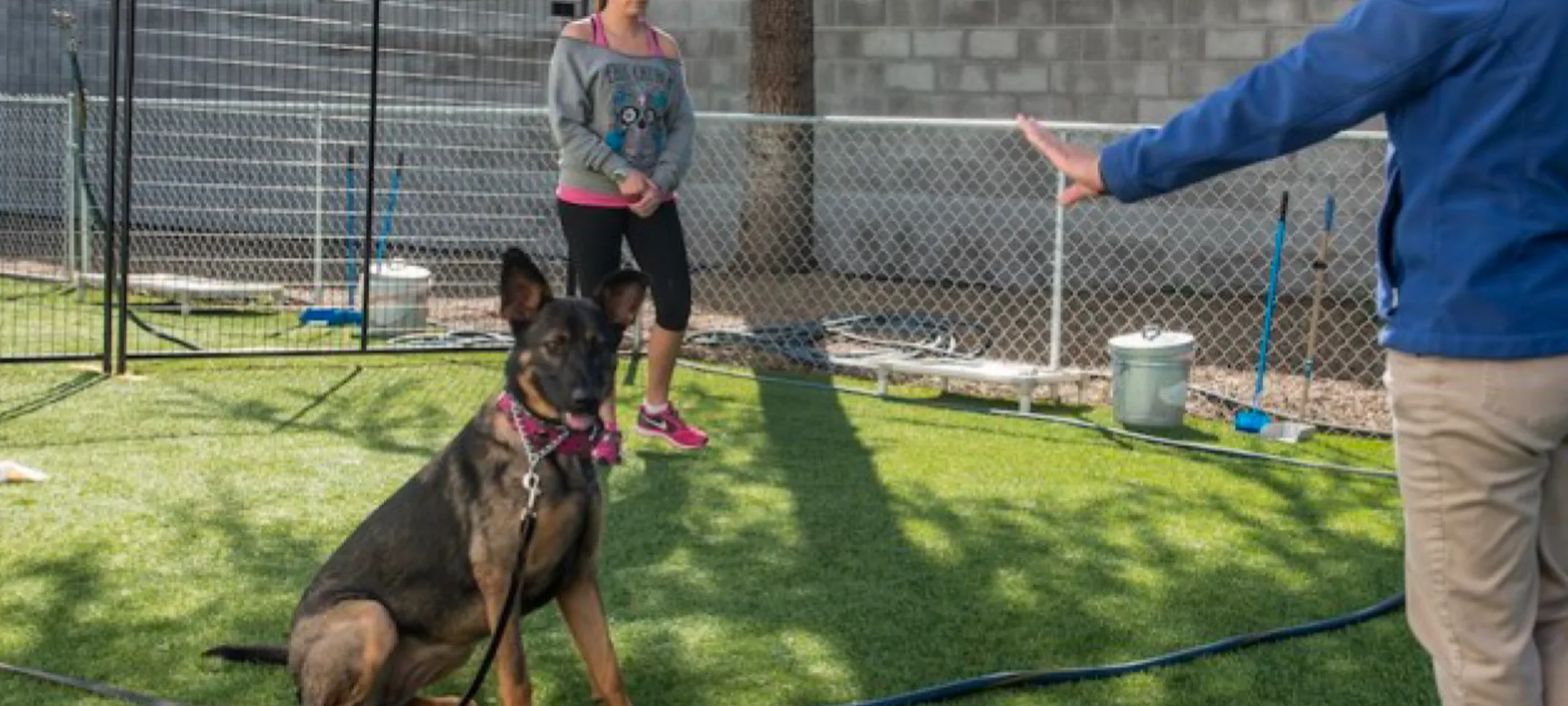 Dog with trainer Dog with trainer