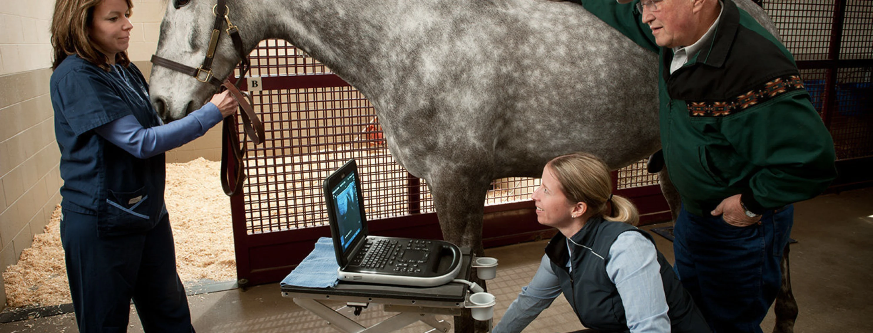 A veterinarian at Wisconsin Equine Clinic examining a horse