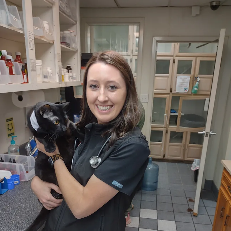 Dr. Hannah Johnson Dr. Hannah Johnson