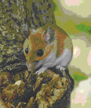 Hamster on a tree