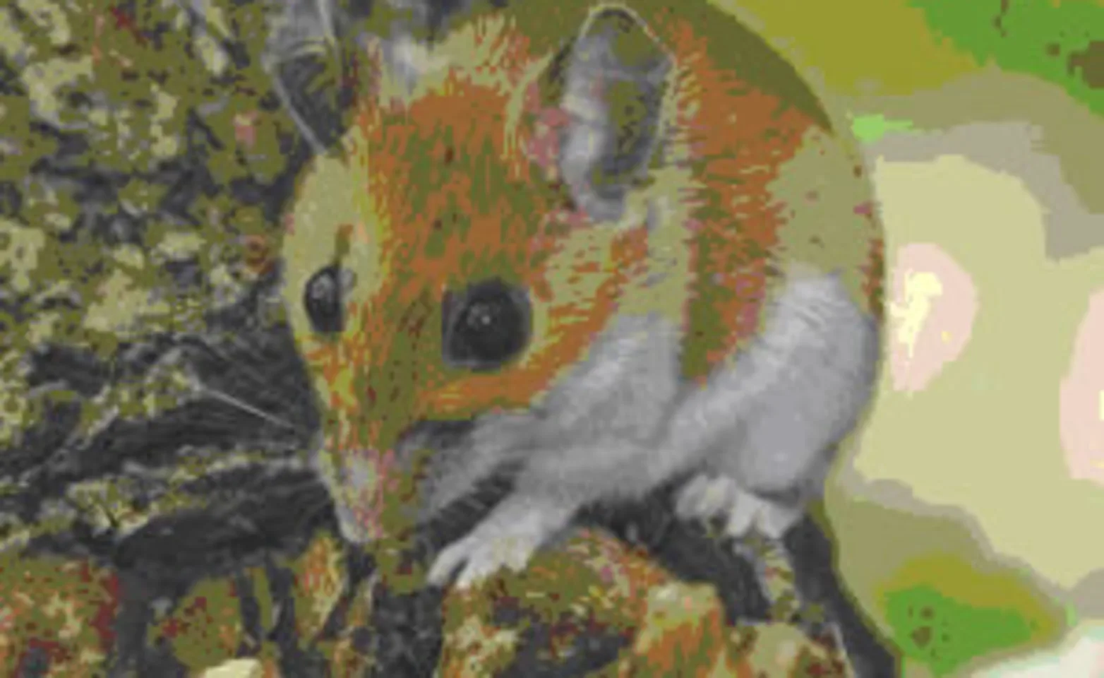 Hamster on a tree Hamster on a tree