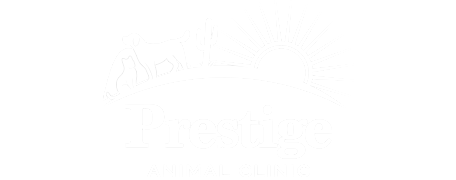 Prestige Animal Clinic Logo Prestige Animal Clinic Logo