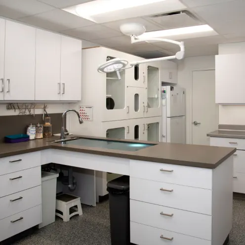 Pet prep room with kennels and cabinets