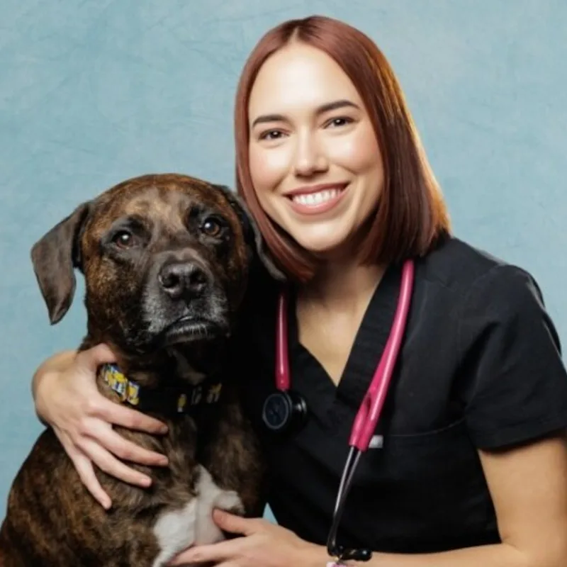 Natalia Hernandez Diaz Natalia Hernandez Diaz