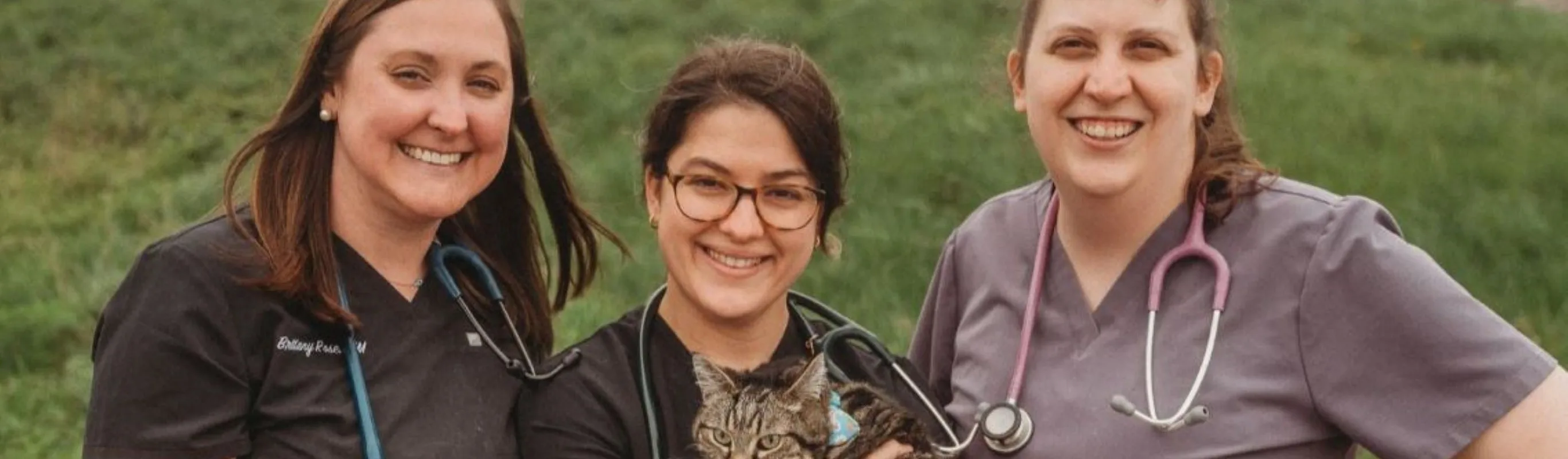 Veterinarians at Greywolf Veterinary Hospital Veterinarians at Greywolf Veterinary Hospital