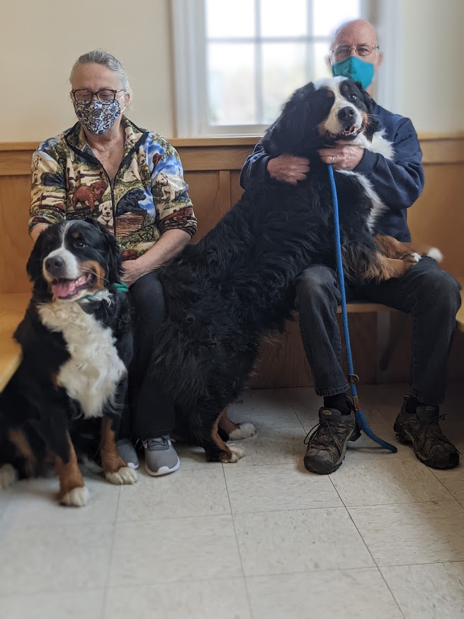 2 large dogs with their owners at Henniker Vet