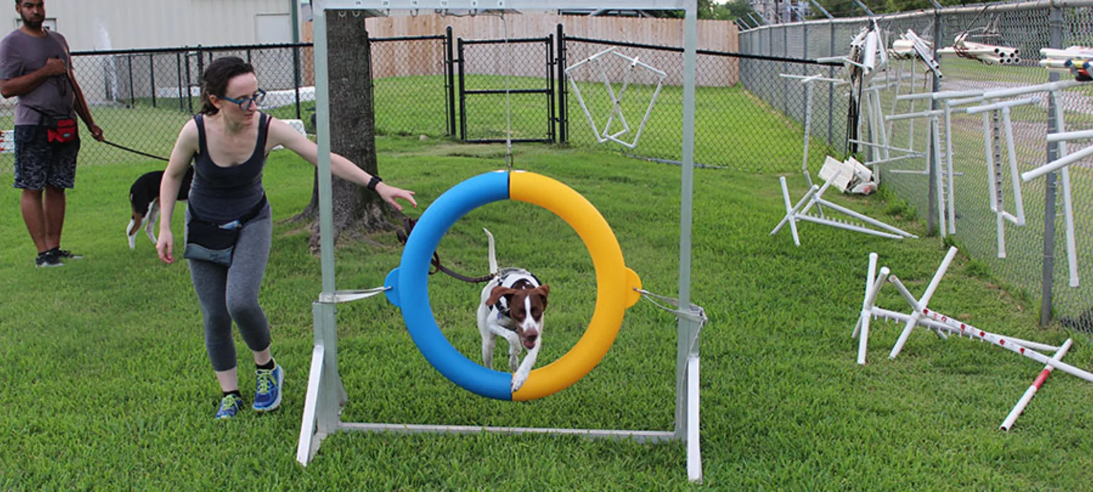 Dog jumping through hoop with trainer