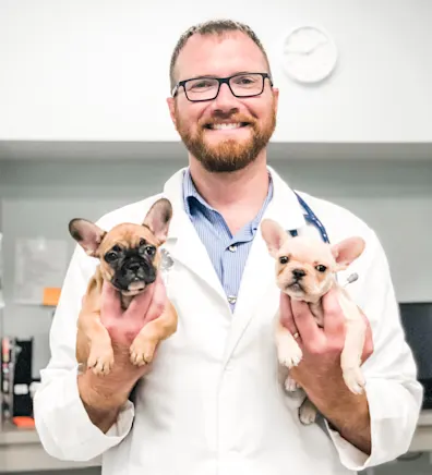 Dr. Carl Schmidt smiling holding two small French Bull dogs Dr. Carl Schmidt smiling holding two small French Bull dogs