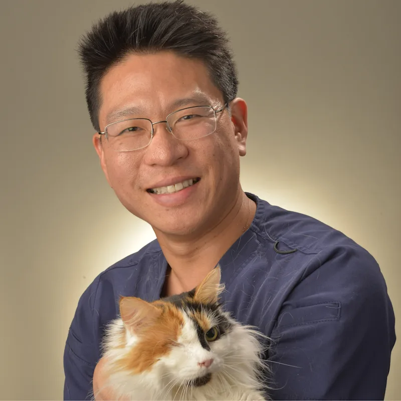 Jon Lou holding an one eyed cat Jon Lou holding an one eyed cat