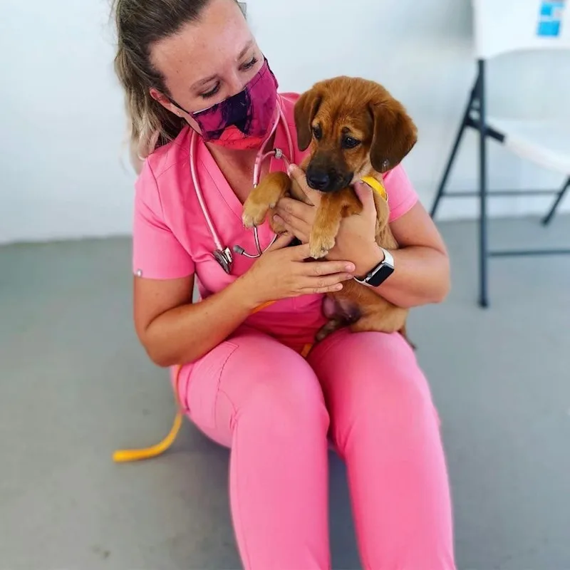 Dr. Samantha Stephens Dr. Samantha Stephens