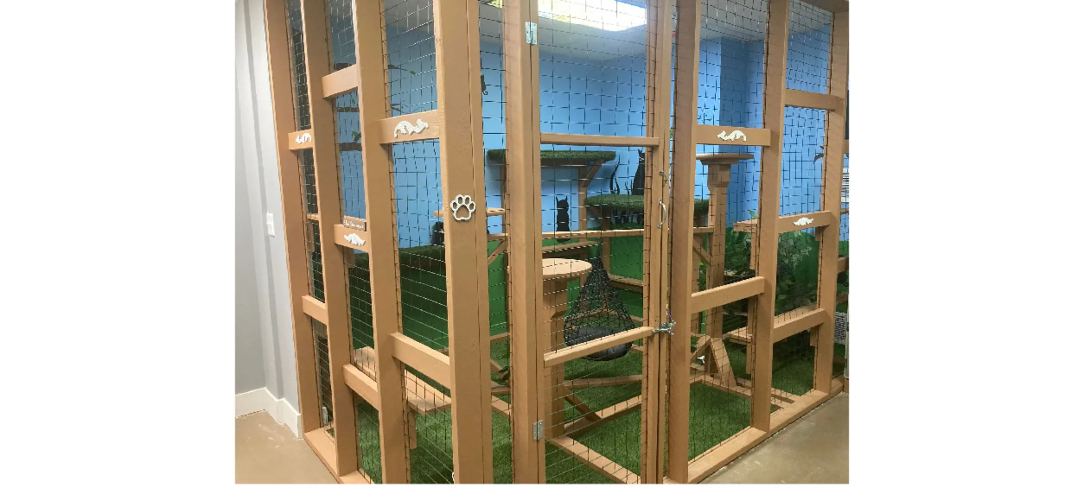 Jungle gym at Best in Show Pet Resort Jungle gym at Best in Show Pet Resort