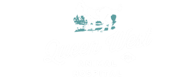 Queen West Animal Hospital Logo