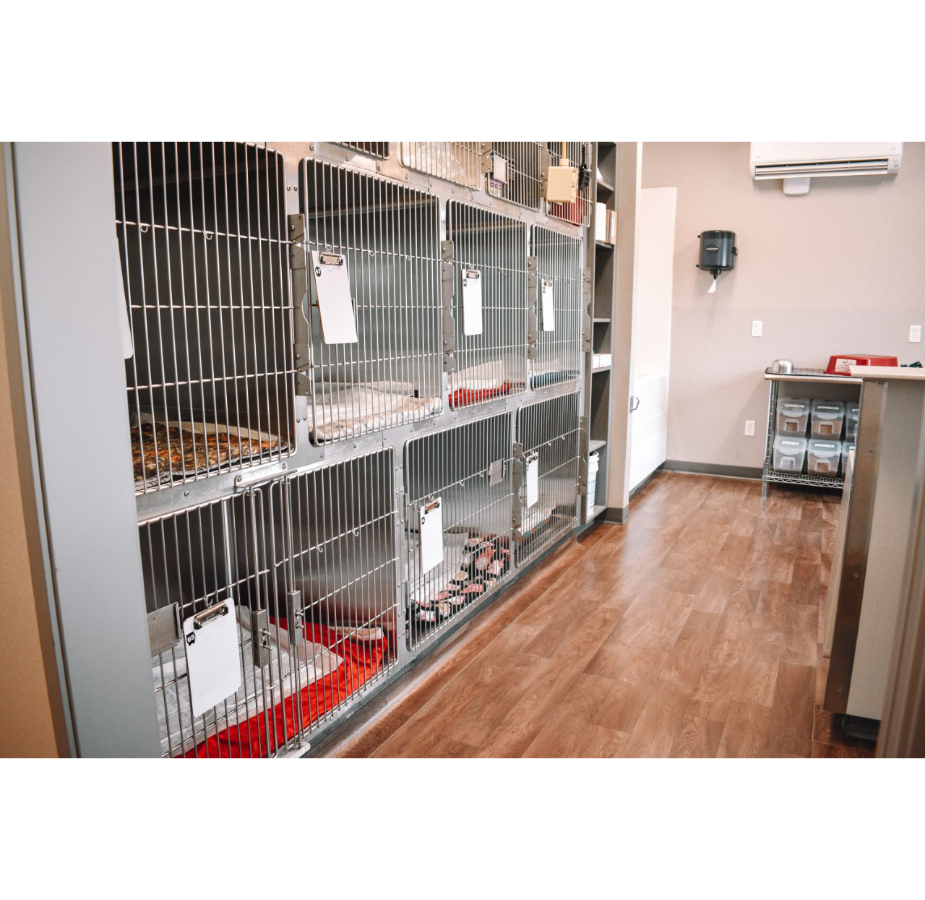 Kennels in ICU in All City Pet Care Veterinary Emergency Hospital