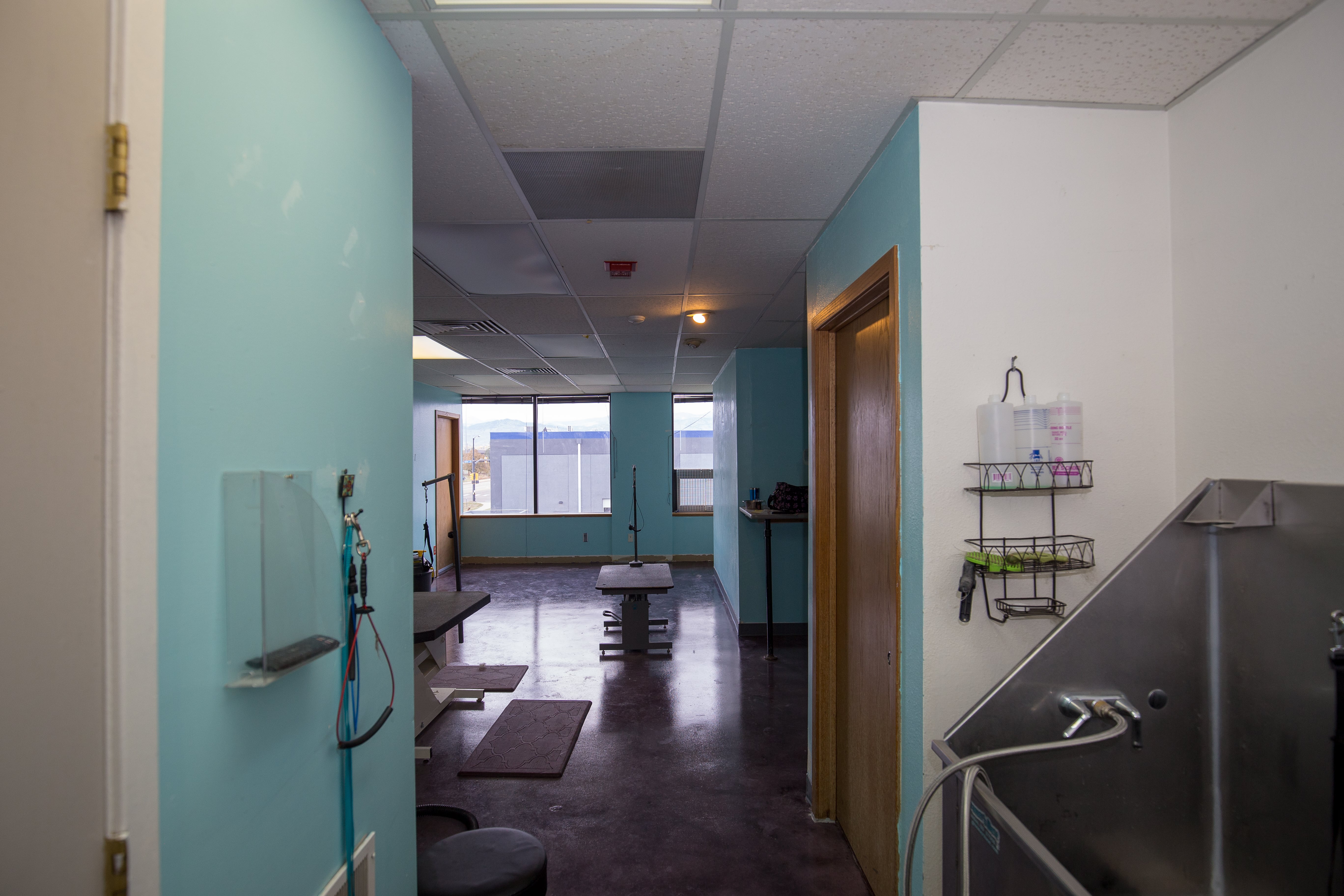 Bowhaus Grooming in Boulder, CO