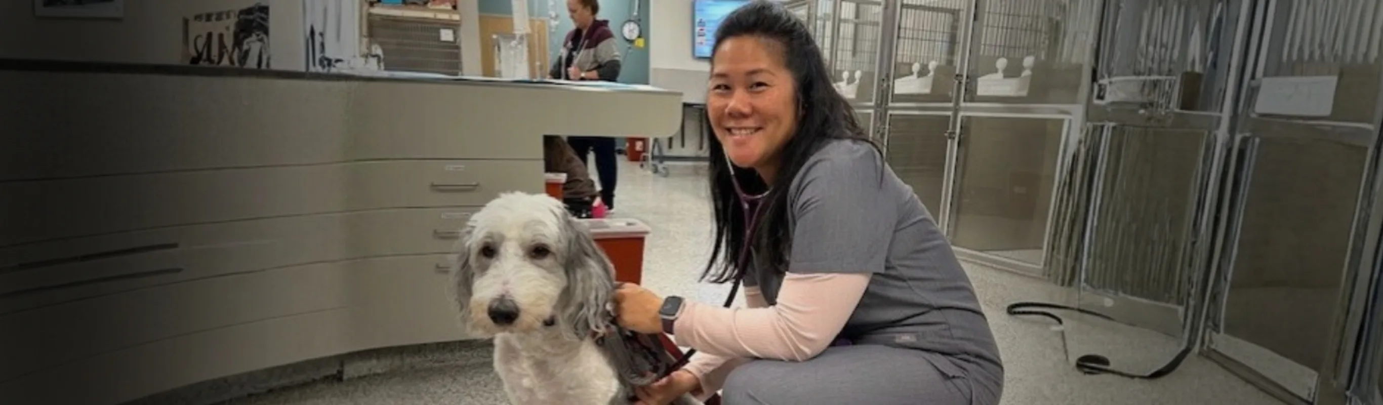 Veterinarian sitting next to large white and grey dog Veterinarian sitting next to large white and grey dog