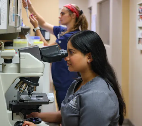 Other Diagnostic Testing Other Diagnostic Testing