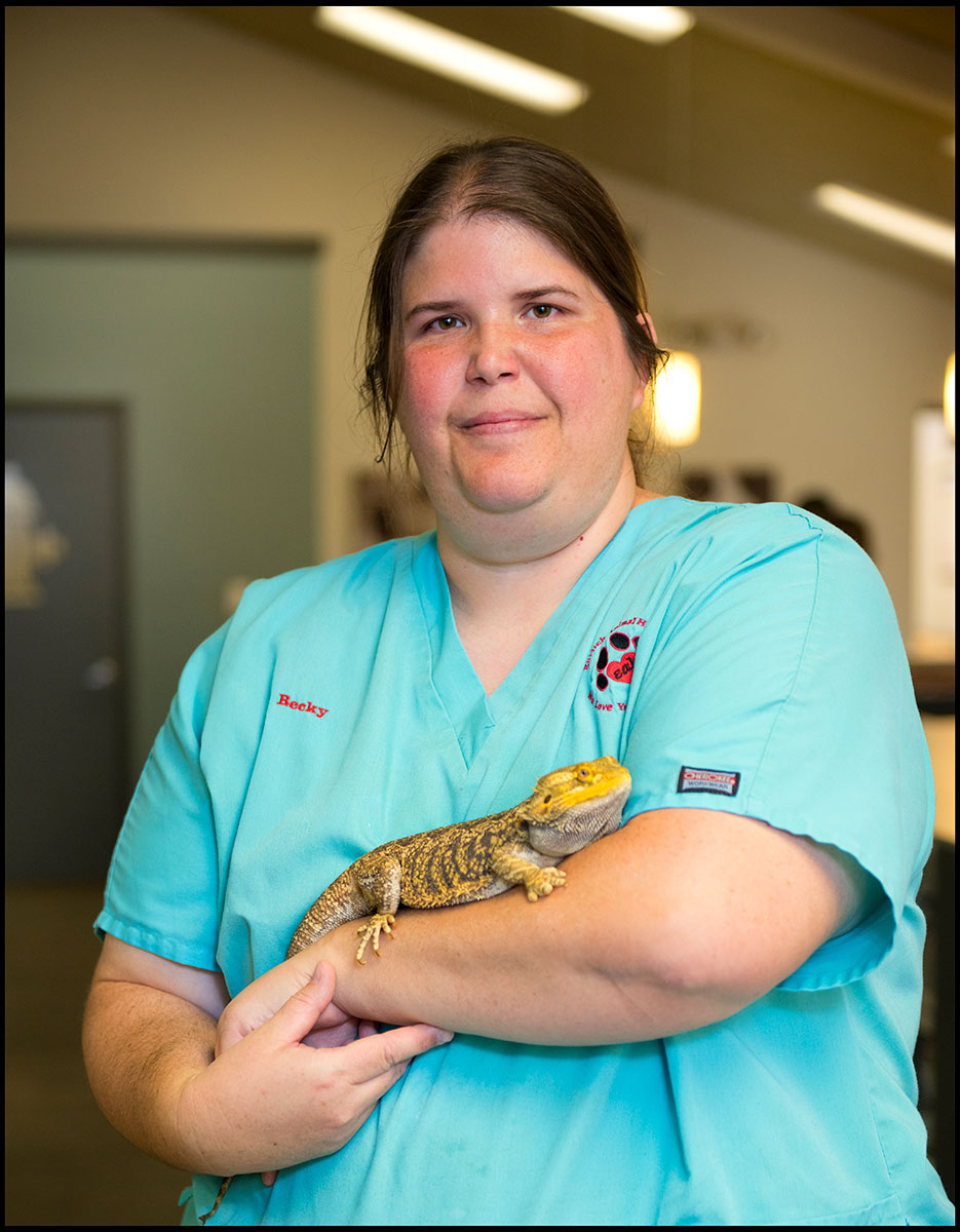 Veterinary Care in Tampa, FL | Ehrlich Animal Hospital & Arthritis Therapy  Center