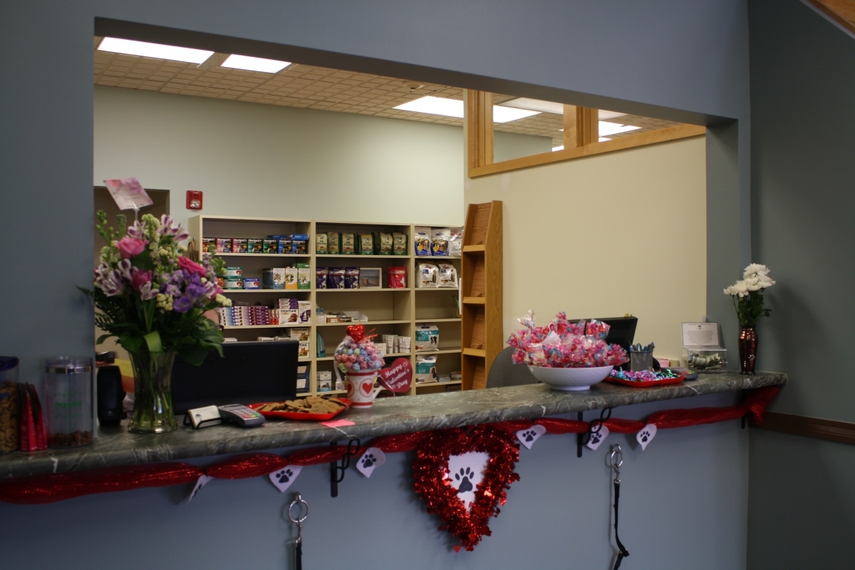 Front desk with flowers and decorations inside Northampton Veterinary Clinic