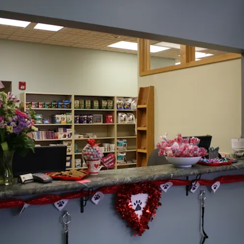 Front desk with flowers and decorations inside Northampton Veterinary Clinic Front desk with flowers and decorations inside Northampton Veterinary Clinic