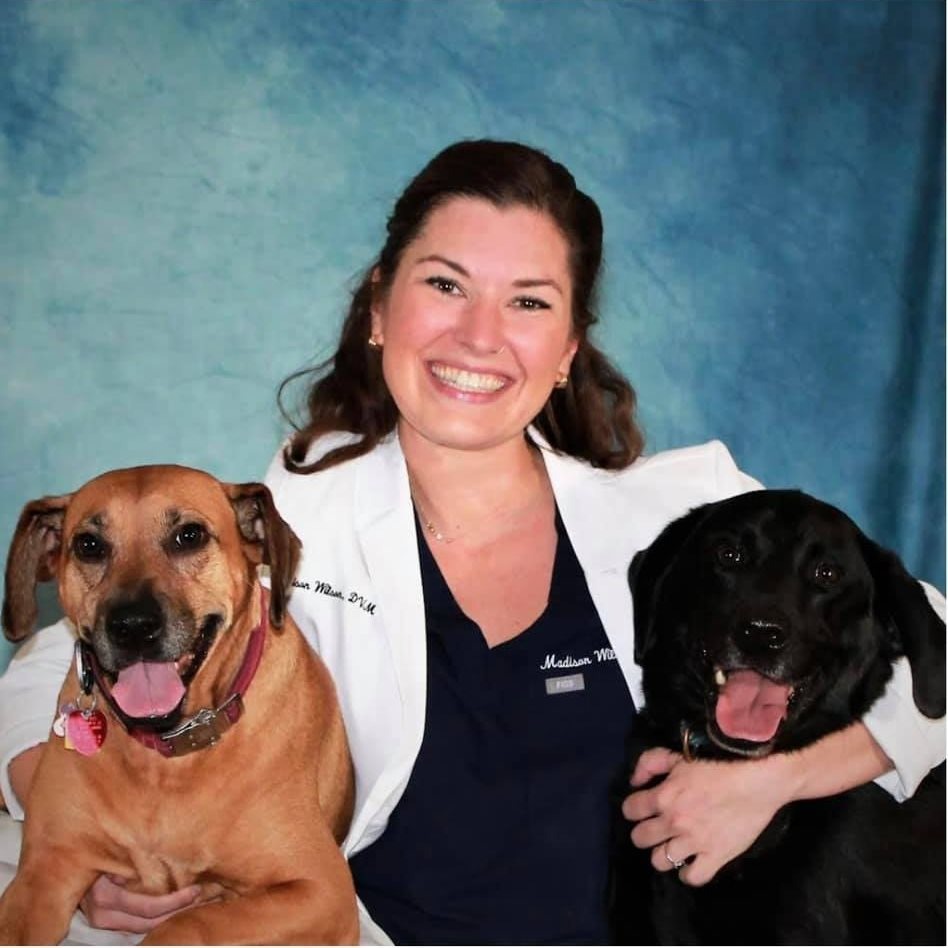 Dr. Madison Wilson Central Baldwin Veterinary Hospital