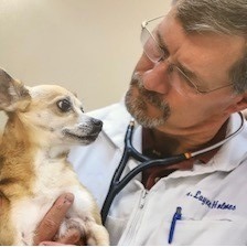 Photo of Dr. Layne Holmes from Casper Animal Medical Center 