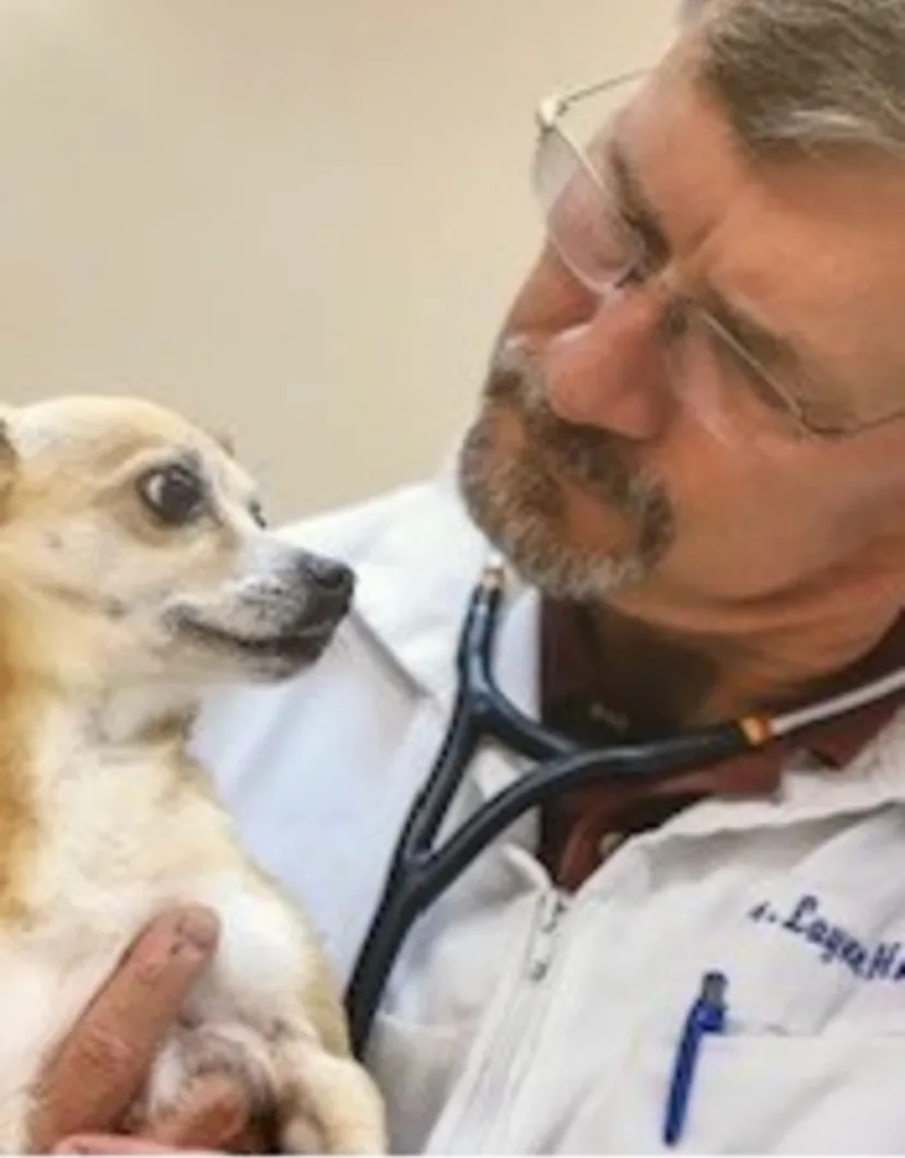 Photo of Dr. Layne Holmes from Casper Animal Medical Center 