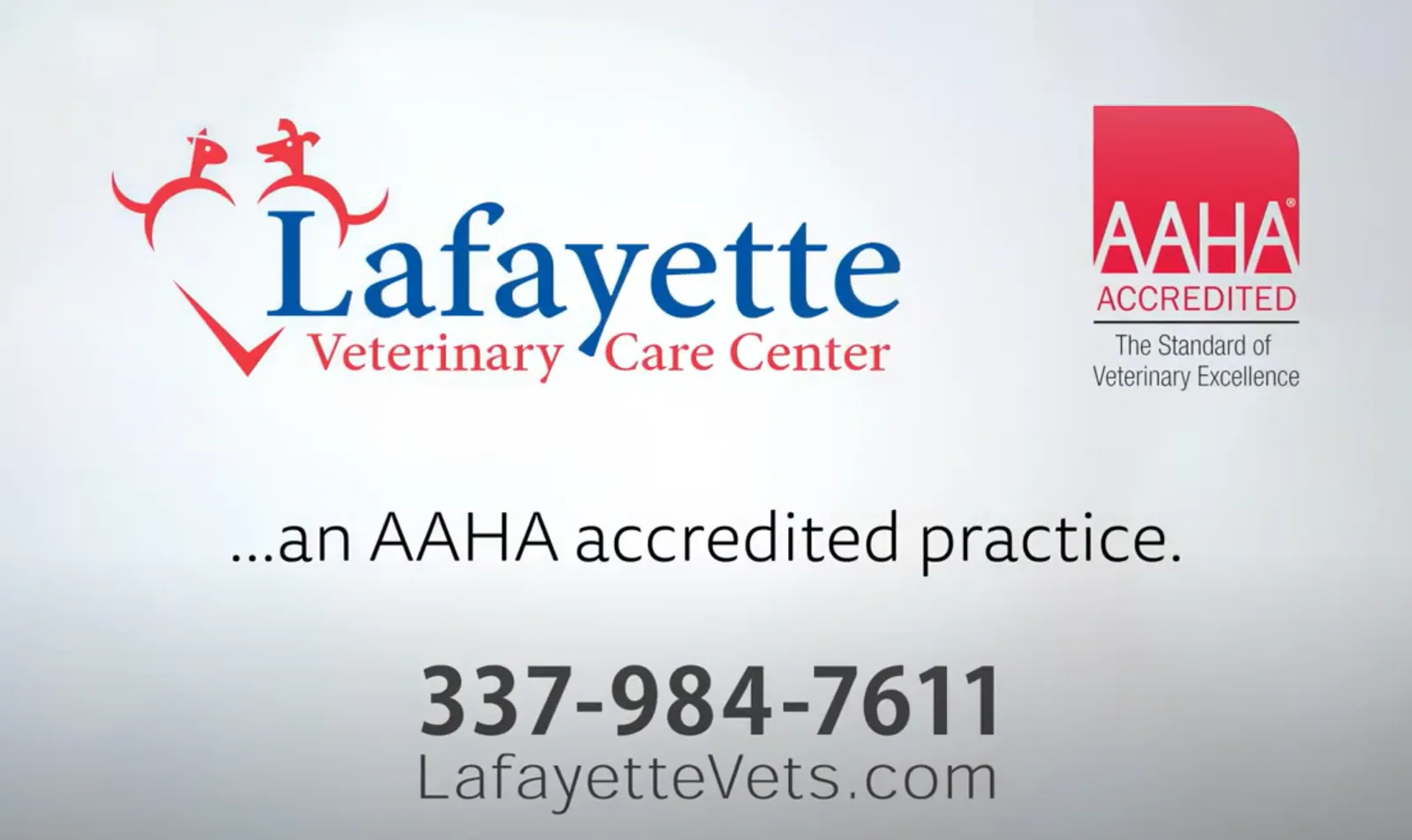 Lafayette Veterinary Care Center AAHA Video Thumbnail