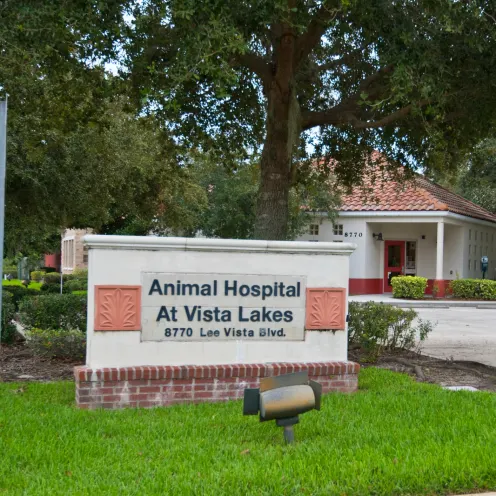 Animal Hospital at Vista Lakes Front of Facility