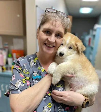 Avondia Ward Avondia Ward