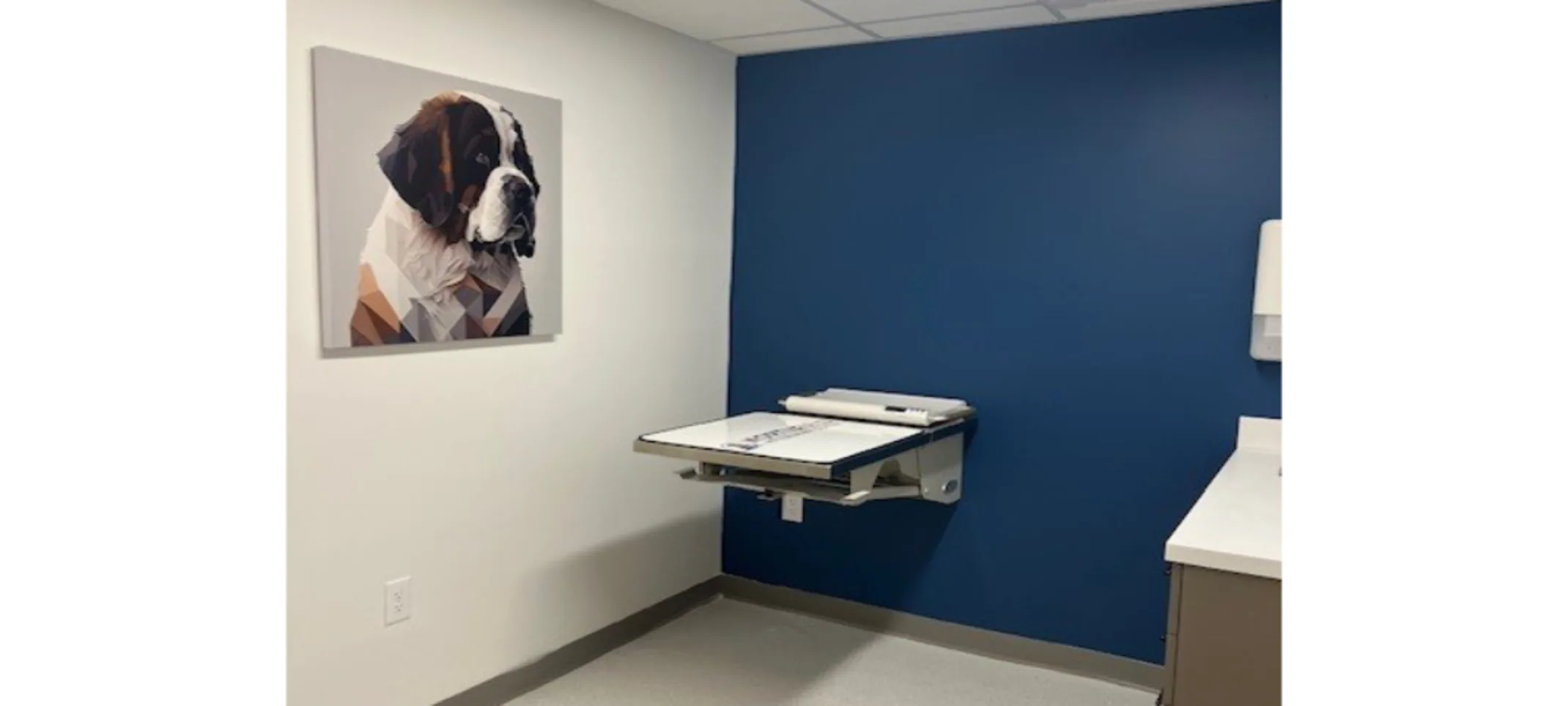 Exam Table Exam Table