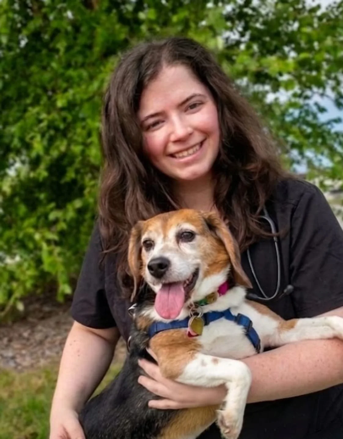 Dr. Britt Krinninger Dr. Britt Krinninger