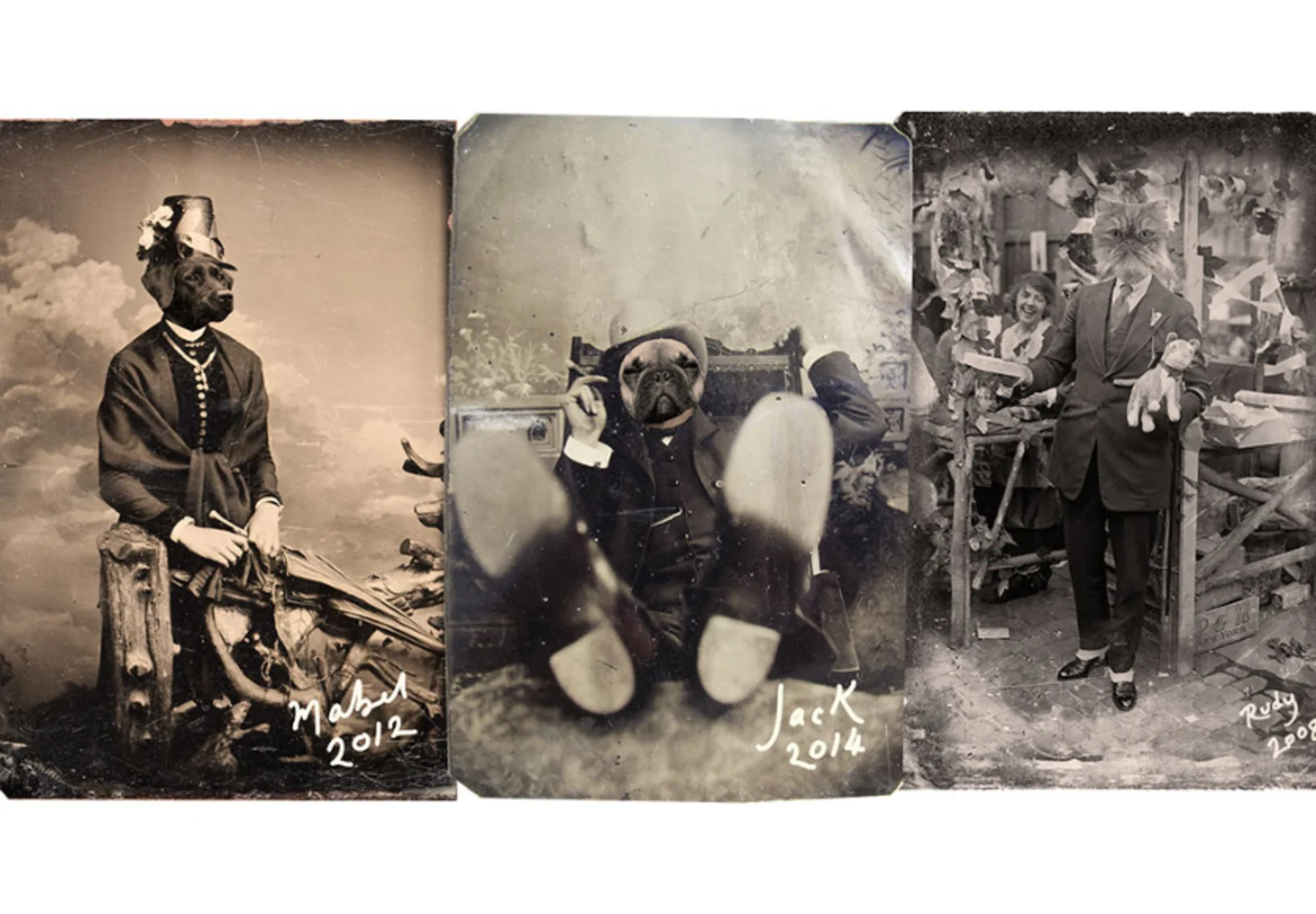 Vintage Old Timey Photos of Dogs Posing Like Humans Vintage Old Timey Photos of Dogs Posing Like Humans
