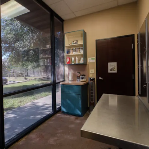 Exam Room at Champion Wood Animal Hospital Exam Room at Champion Wood Animal Hospital