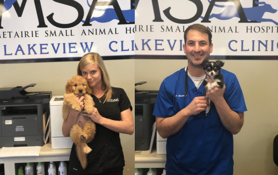 Small animal sales clinic near me