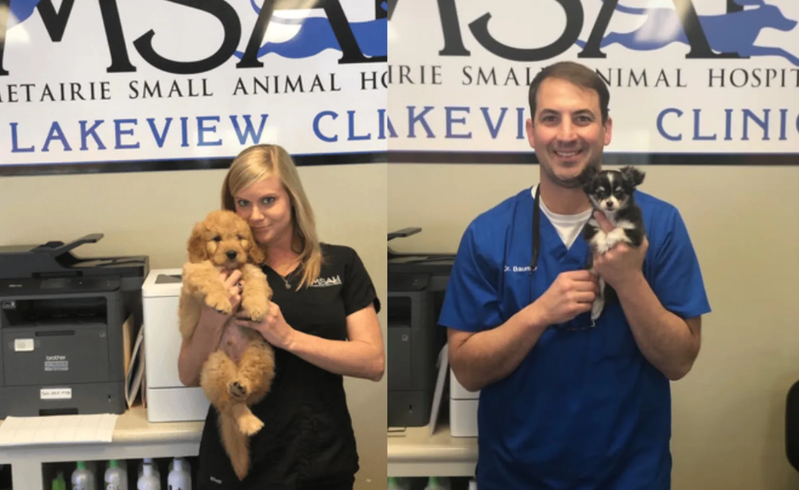 Metairie Small Animal Hospital (MSAH) - Lakeview Clinic Staff with Dogs