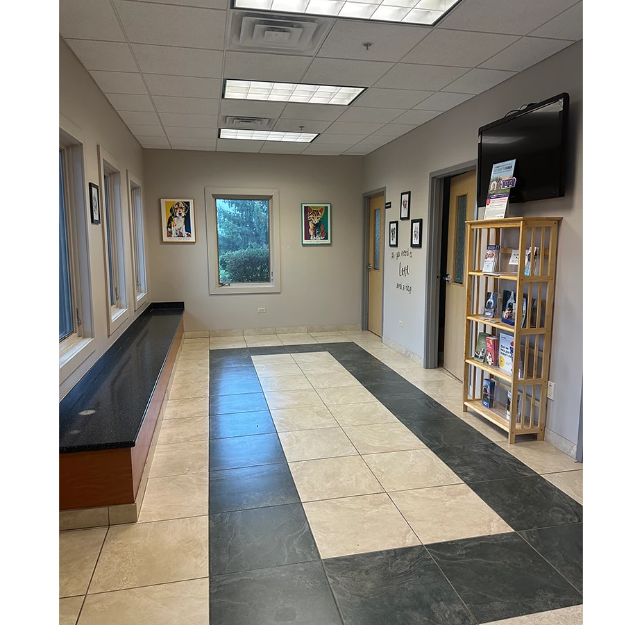Waiting Area at Winding Creek Animal Hospital