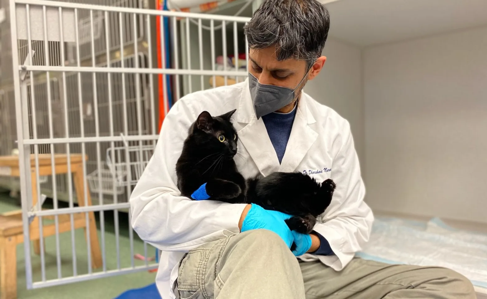 Dr. Neravanda, head of DCES Neurology, cradles a black cat on the ground beside an open cage, showcasing compassionate care in the clinic's treatment area.