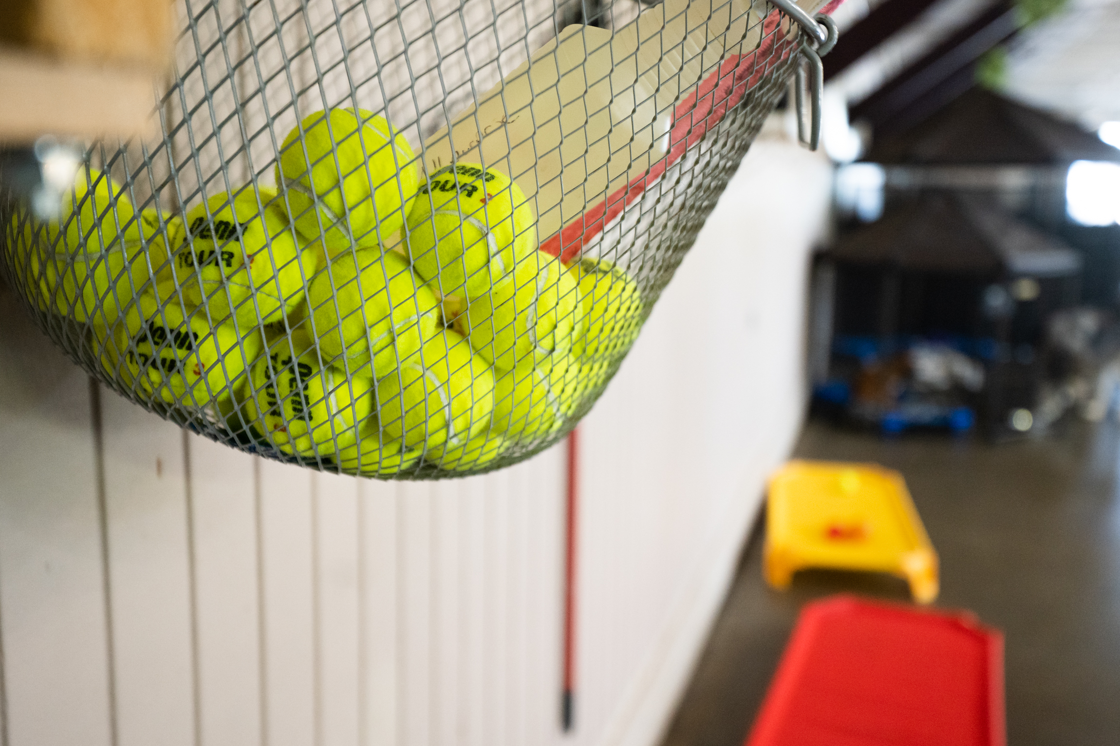 Breed Above Tennis Balls