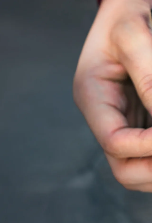 Close Up of Cat's Face Between Owner's Hands Close Up of Cat's Face Between Owner's Hands