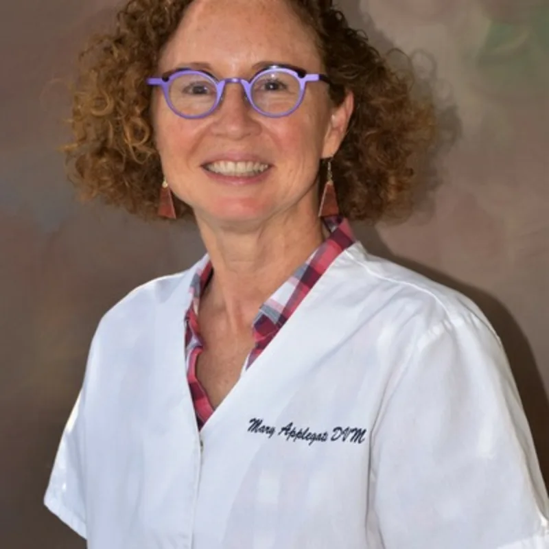 Mary Applegate The Veterinarian Mary Applegate The Veterinarian