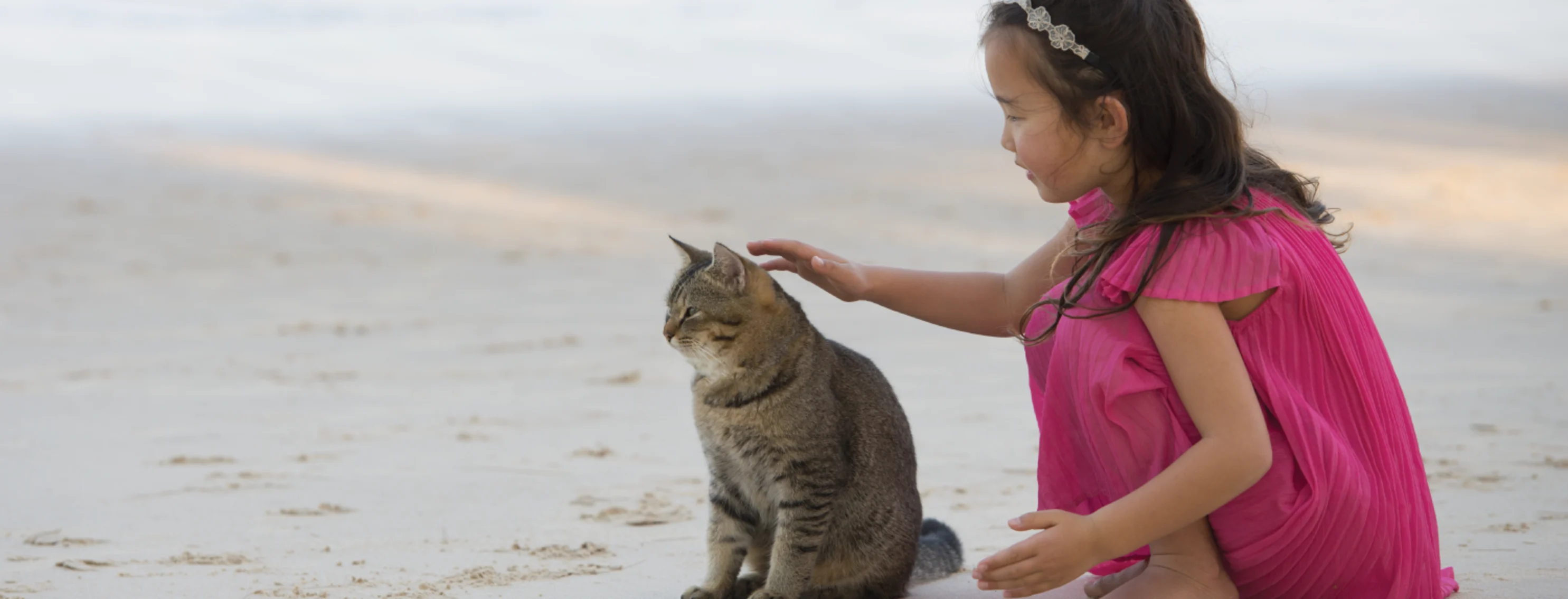 Girl on the beach petting a cat Girl on the beach petting a cat