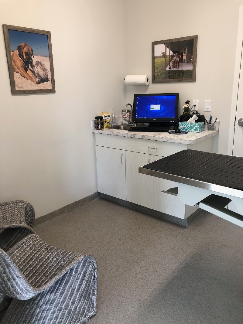 Exam room and sitting area