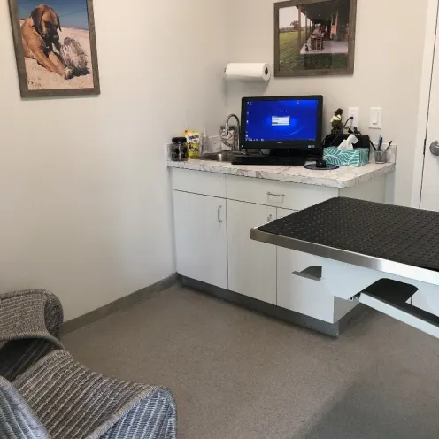Exam room and sitting area