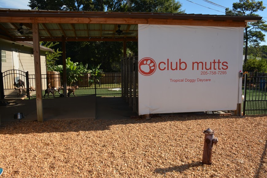 Animal Medical Center (Tuscaloosa) Daycare Sign