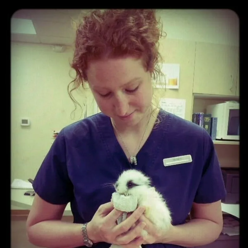 Elizabeth Tanner, LVT Elizabeth Tanner, LVT