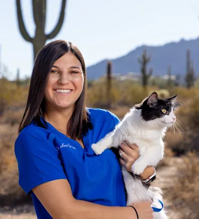 New DVM Coming SOON! New DVM Coming SOON!