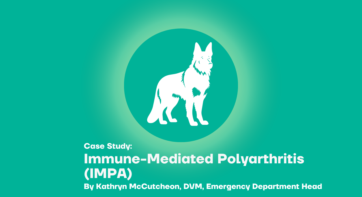 Immune-Mediated Polyarthritis