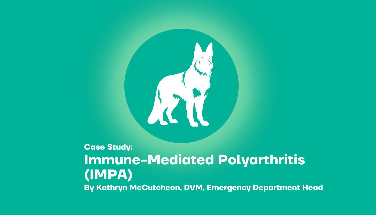 Immune-Mediated Polyarthritis